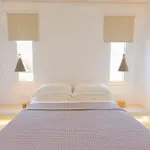 Naxian Utopia Luxury 3* Στελίδα